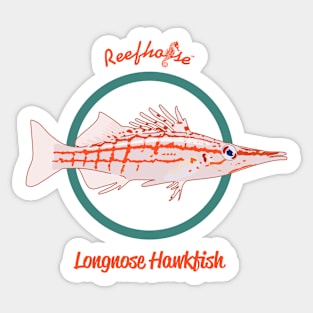 Longnose Hawkfish Sticker